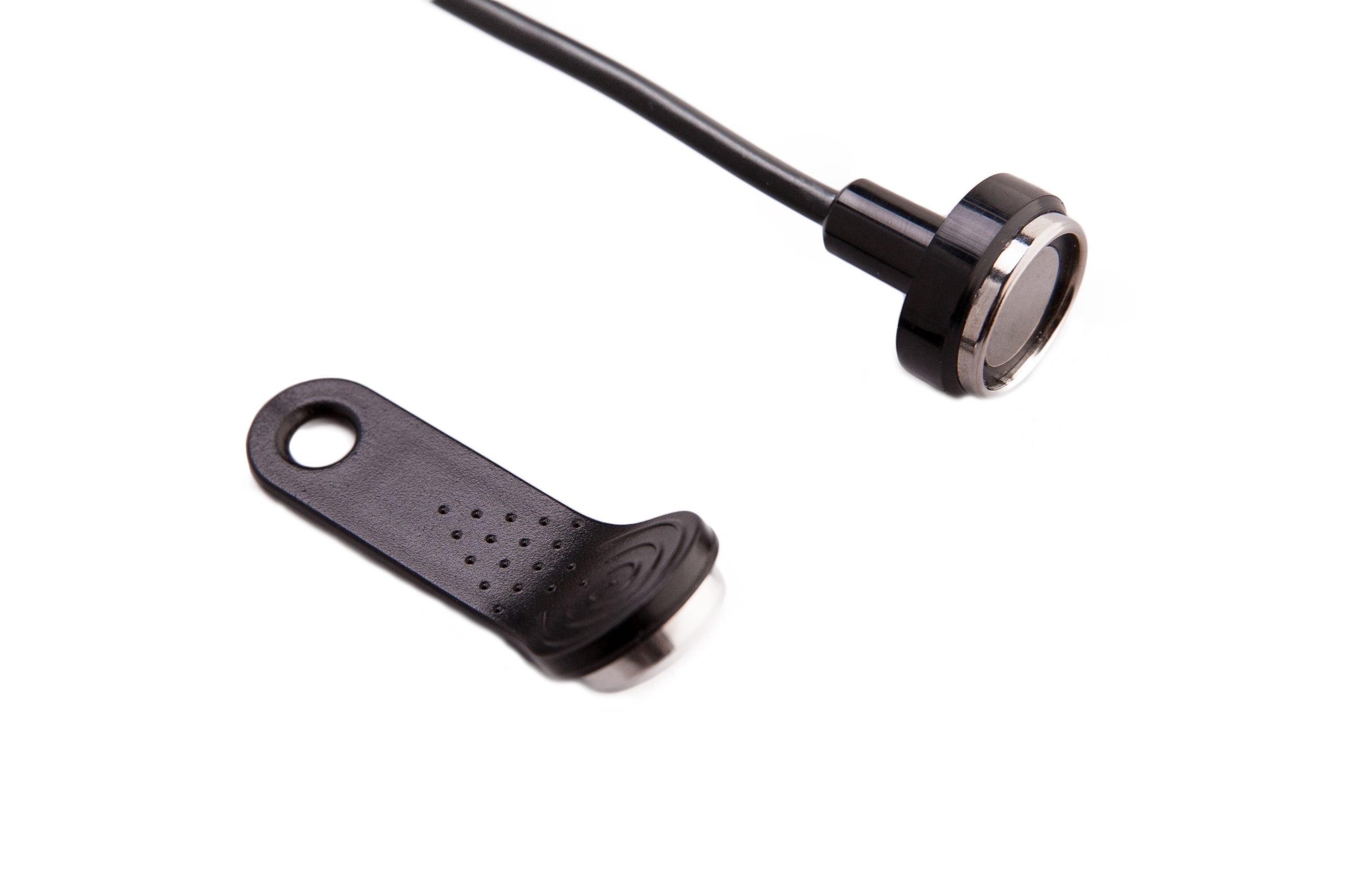 Ruptela-Identification-key_2